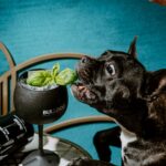 Bulldog Gin