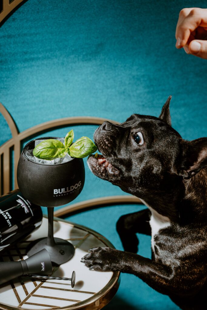 Bulldog Gin